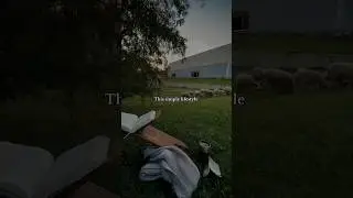 Simple Islamic way lifestyle #islam #allah #viral #shorts #makkah #islamiclifestyle