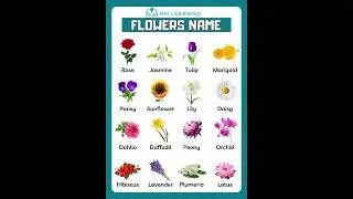 Flowers Name in English
