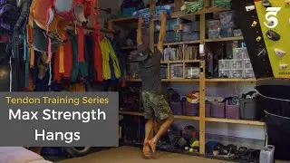 Max Strength Hangs (Tendon Training Phase 2)
