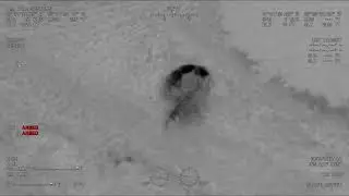 IRCSO helicopter catches mama turtle digging nest
