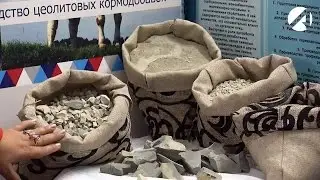 Молодые учёные Астрахани изучают опоку