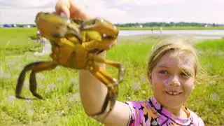HHLT Nature Day Camp & Forest Playground