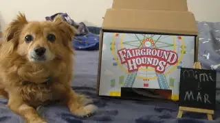 BarkBox Fairground Hounds with Extra Toy! August 2020 Unboxing & Review