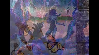Papillon
