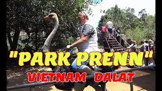 🚌В ДАЛАТ-4.🐘 ПАРК 