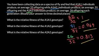 How to Calculate Relative Fitness?