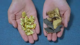 菊花搭配陈皮厉害了，99岁中医方法，解决很多人问题省钱实用