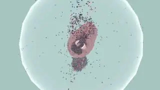 Media Bubble