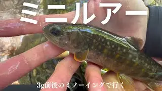 【渓流ルアー】釣れない時はルアーサイズをダウンしてみよう！ミニルアーで源流釣り