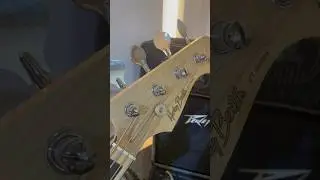 Bass Demo feat. Harley Benton VT Series Jazz Bass #bassdemo #harleybenton #bassnation #bassguitar