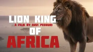 Lion king of Africa | Epic South African Animal War | Cinematic Short Film