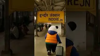 Neon Panda is Arriving in Indore!!!
