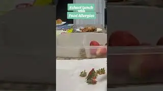 Allergy Friendly School Lunch