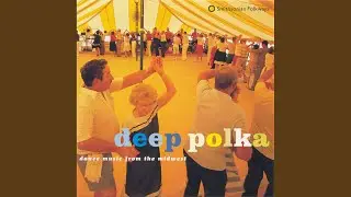 Owl Polka