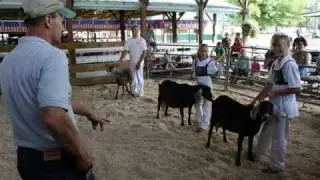 Cattaraugus County Fair Opening Day 2010