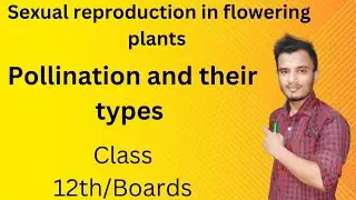 Sexual reproduction in flowering plants | Pollination and their types | Class 12th Boards | Lec 4.