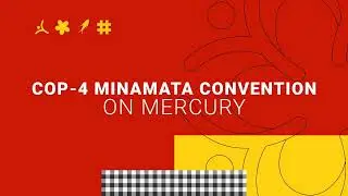 COP-4 Minamata Convention on Mercury Videotron Bumper