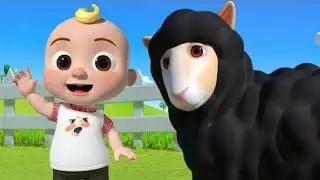Baa baa black sheep 