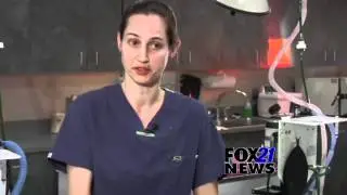 FOX21 Preview - Dog degloving