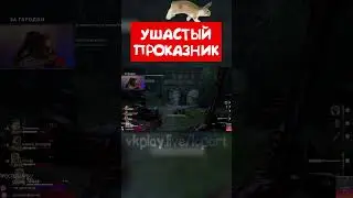 Тимейты наше все #back4blood #shorts #short #рекомендации