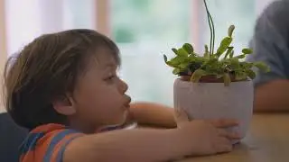 How Do Plants Make Their Food 🌿 Fun Science for Kids About Photosynthesis!