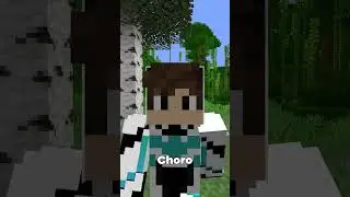 Most Realistic Thing In Minecraft...