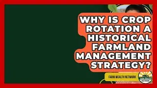 Why Is Crop Rotation A Historical Farmland Management Strategy? - Farm Wealth Network