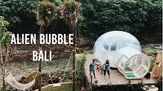 Short Video - Alien Bubble Bali