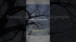 Reflecting on the leaves, the branches and the roots  - FYP