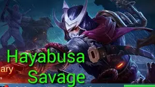Hayabusa Savage| Top 3