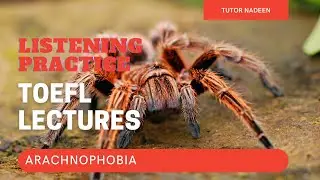 Практика аудирования TOEFL | Лекция | Арахнофобия