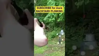 BACKYARD PLINKING - PUMP ACTION BB GUN #shorts #bbgun #airsoft #plinking