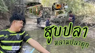 ลงห้วยสูบปลา ไม่คิดว่าจะเยอะขนาดนี้
