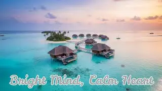 Happy Calm Study Ambience &mdash; Focus, Relax & Learn with a Bright Mood