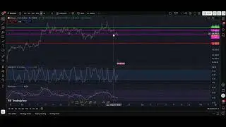 Bitcoin Mania