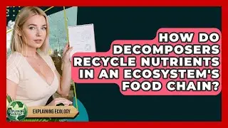 How Do Decomposers Recycle Nutrients In An Ecosystem's Food Chain? - Explaining Ecology