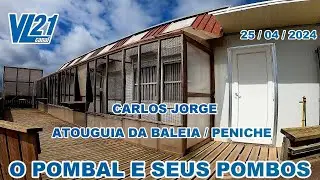 Columbofilia /O Pombal E Seus Pombos (Carlos Jorge) / Peniche/ Abril 24 / VL21