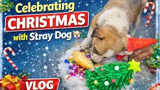 DIY 3D Christmas School Project 🎄 |Easy Craft That Everyone Loves 😍| #christmasdecoration#christmas 