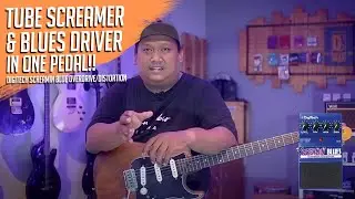 Overdrive Lengkap Tube Sreamer & Blues Driver! DS Review Digitech Screamin Blues Overdrive
