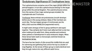 Trochophore larva
