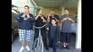 COMPADRES GANG 714