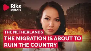 Can the asylum emergency law save the Netherlands from social collapse?