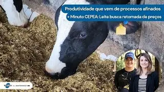 Produtividade que vem de processos afinados | Notici&aacute;rio Tortuga