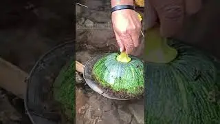Amazing Tani Fish Catching Trick | Smart Fishing Using Kat Do Food | Unique Fishing Hack