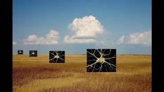 Prions on the Prairie (2004)