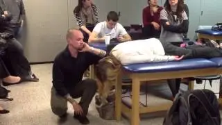 Kinesiology - Neck and Trunk MMT 1