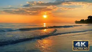 Relaxing Sea Waves ASMR 4K | Natural Ocean Sounds for Sleep & Focus Vol 15
