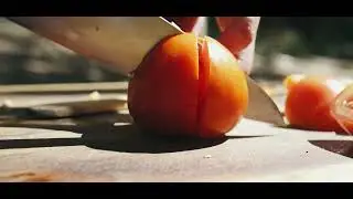 4K Knife slicing through tomato | Free Stock Video Footage [ No Copyright ]