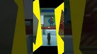 STRAY Game highlights Full video @  
