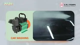 CRI group | New Product | ELSA